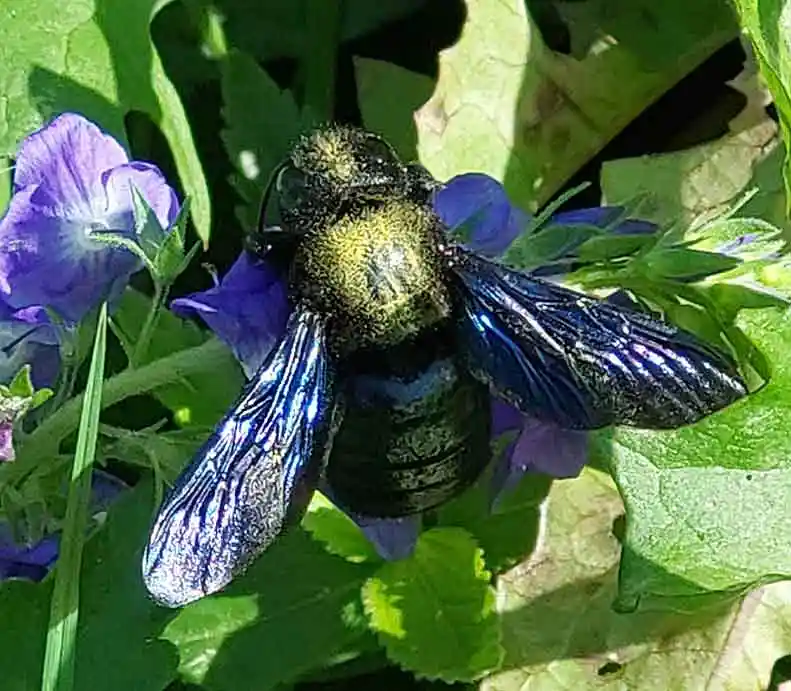 Ferien wohnung Altmark seltene Tiere, Babyfotos, Babybauchshooting , 3