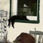 Ferienwohnung Altmark Konik Hof 5, Babyfotos, Babybauchshooting , 11