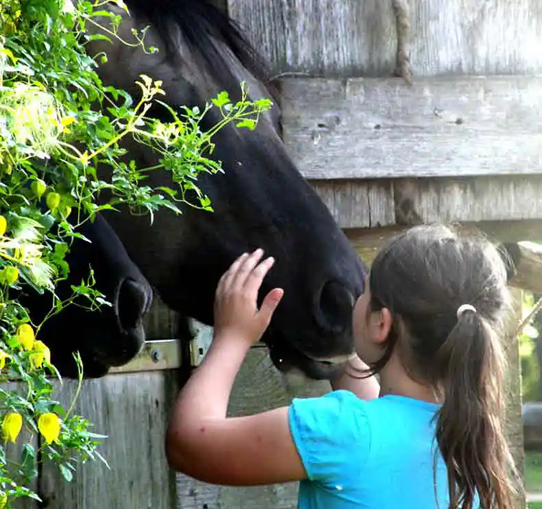Ferienwohnung Pferdehof Altmark, Babyfotos, Babybauchshooting , 1