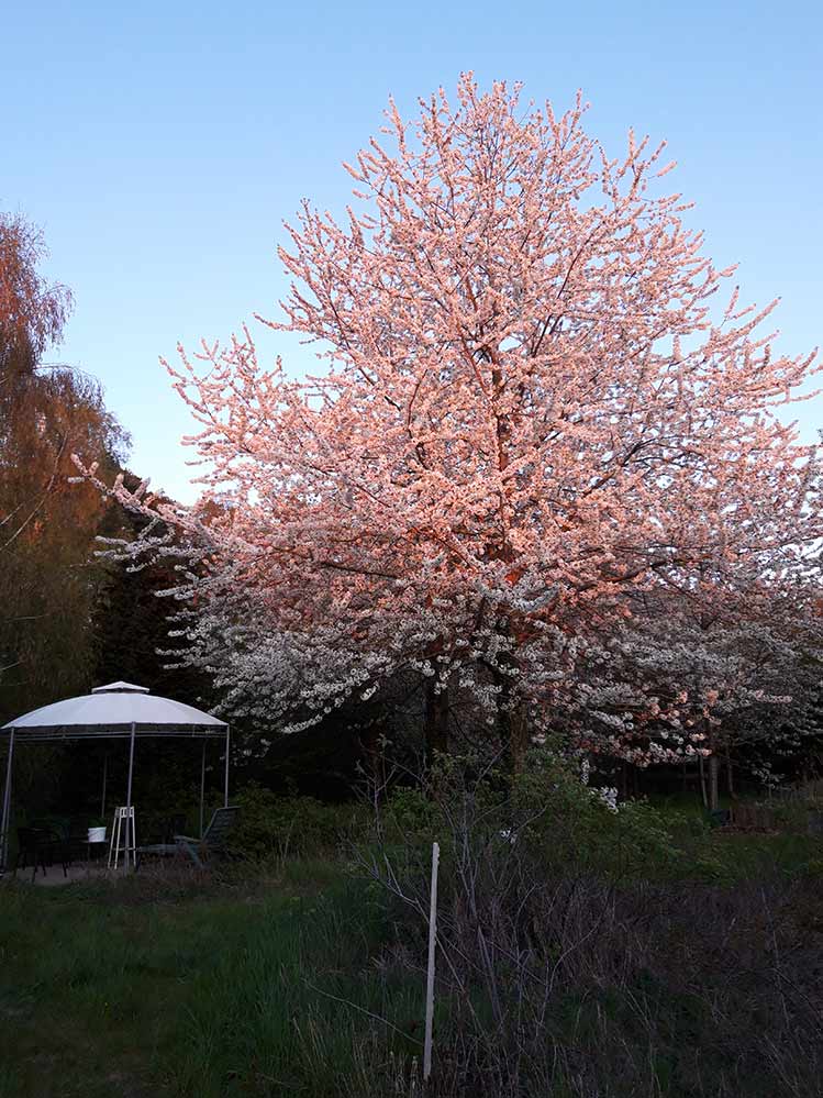 Momente 31 Ferienwohung Indylle Altmark Pferdehof 13, Babyfotos, Babybauchshooting , 31