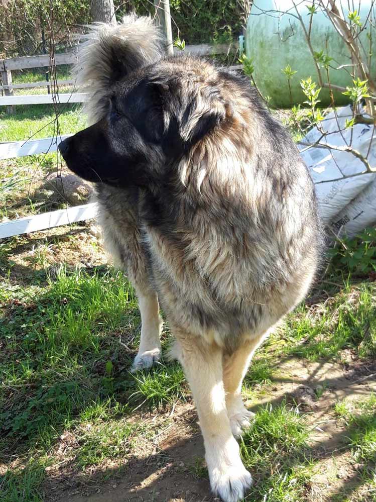 Momente 14 Ferienwohung Indylle Altmark Pferdehof 9, Babyfotos, Babybauchshooting , 14