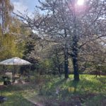 Garten, Babyfotos, Babybauchshooting , 20