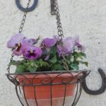 IMG 20170507 151744, Babyfotos, Babybauchshooting , 13