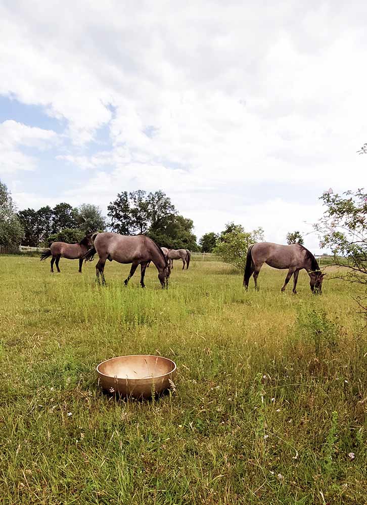 Momente 3 Klangschale und Koniks, Babyfotos, Babybauchshooting , 3