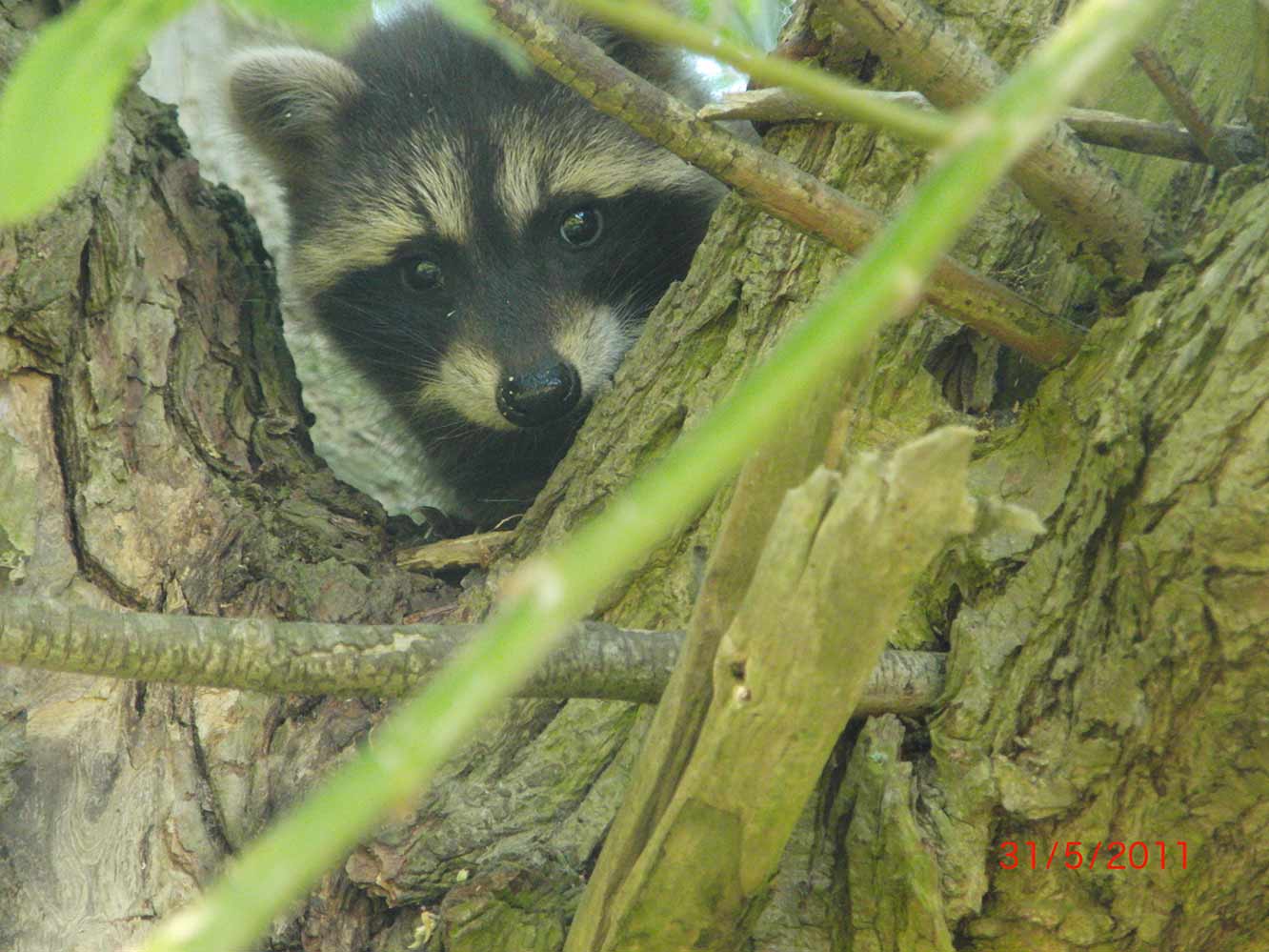 Momente 16 Mitbewohner 2, Babyfotos, Babybauchshooting , 16