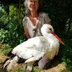 Spendenaufruf2, Babyfotos, Babybauchshooting , 24