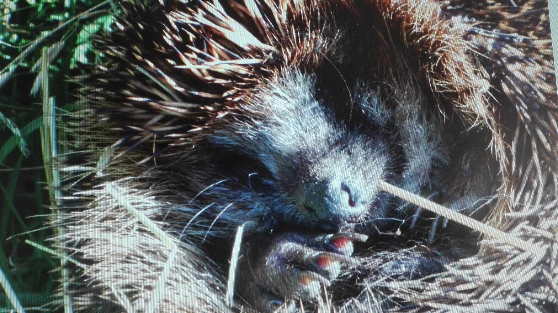 Momente 26 Spendenaufruf4 1, Babyfotos, Babybauchshooting , 26