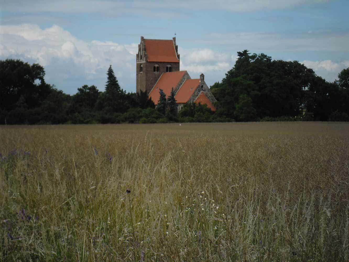 Momente 29 Umgebung, Babyfotos, Babybauchshooting , 29