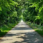 Umgebung2 1, Babyfotos, Babybauchshooting , 26