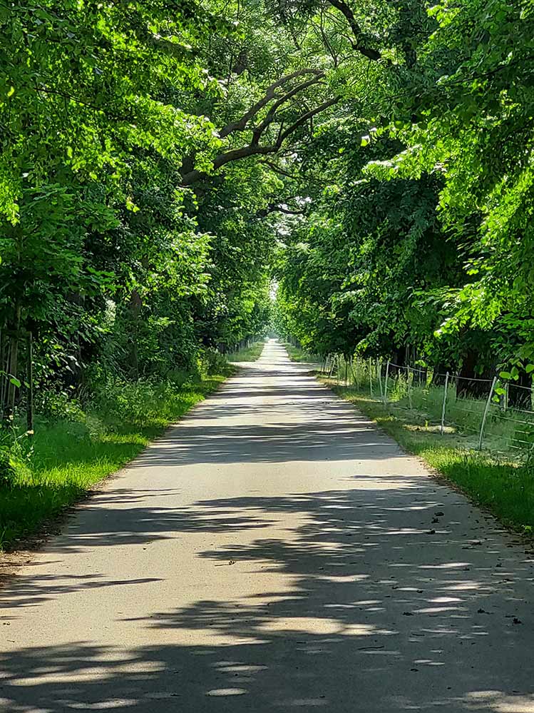 Momente 15 Umgebung2, Babyfotos, Babybauchshooting , 15