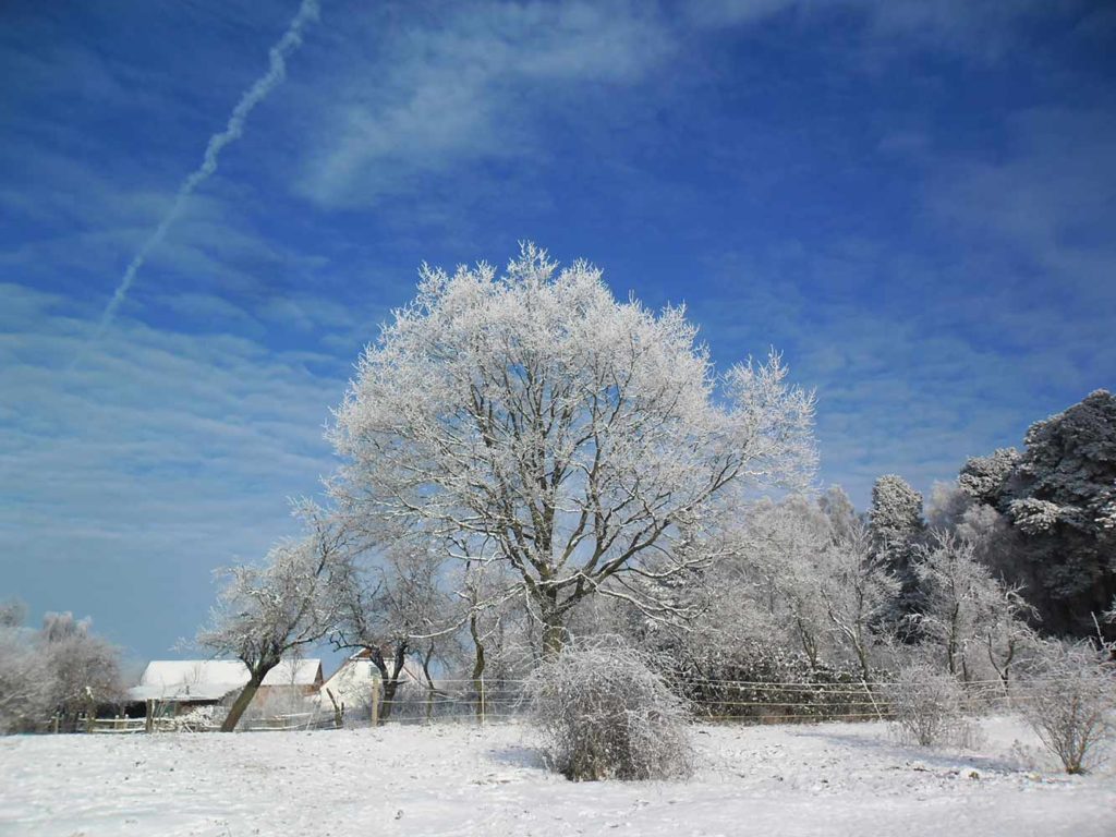 Winterstimmung, Babyfotos, Babybauchshooting , 4