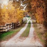 Zufahrt 1, Babyfotos, Babybauchshooting , 28